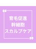 【初回限定】ヒト幹細胞育毛促進美容液塗布ケア