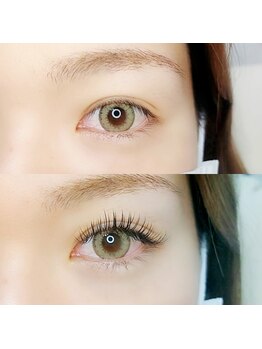 ルピナス 国分寺店(Lupinus)/LEDフラットラッシュ140本