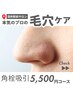 ポツポツいちご鼻/すっぽり吸引後にイオン導入★毛穴吸引コース■５５００円