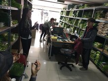 ミル(MiRu)/韓国大邱香草専門店