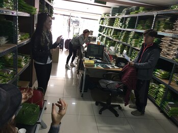 ミル(MiRu)/韓国大邱香草専門店