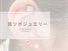 《New》話題の耳ツボジュエリー◇*両耳12粒 *◇おしゃれで可愛い耳元に♪