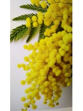 癒しの空間 はぴねす K&nbsp;熊田 