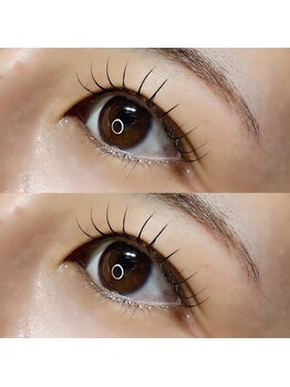 アイビー(Ivy)/まつ毛パーマ