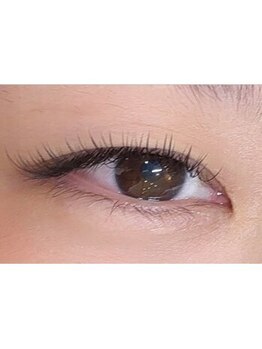 シャンティー ヒラギシ(Shanti hiragishi)/