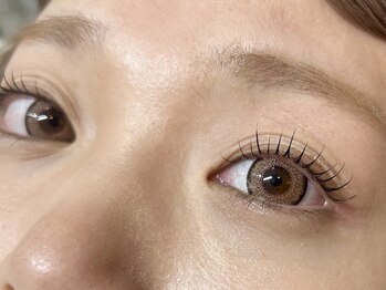 マツエク/まつげパーマ/パリジェンヌ/眉毛/LED etora池袋/パリジェンヌorまつげパーマ