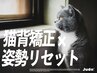 猫背矯正×姿勢リセット（60分）