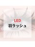 ▼▼▼静岡初導入！羽ラッシュ▼▼▼