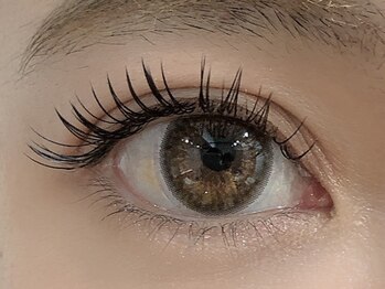 アールアール アイラッシュ(R.R Eyelash)/フラットラッシュ＊120本