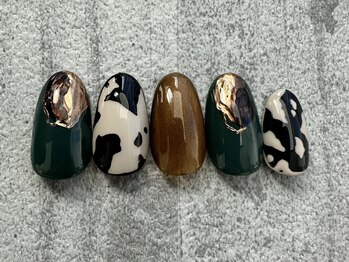 定額specialコース