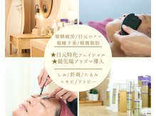オリーブ(Olive)