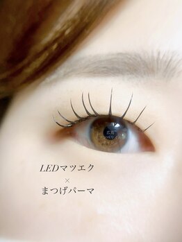 アンベリイルラッシュ(Embellir Lash)/LEDエクステパーマ☆一重さん