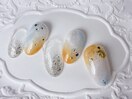 リッチ定額