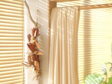 柔らかい陽が差し込む気持ちの良い店内