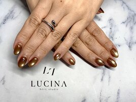 T-196 大人綺麗マグネットネイル