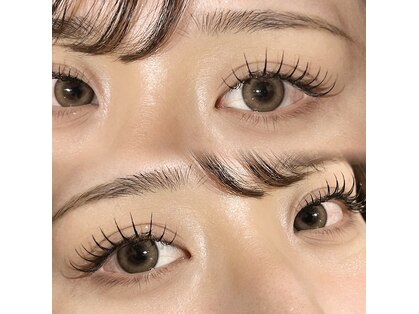 トイジー(toisy)の写真