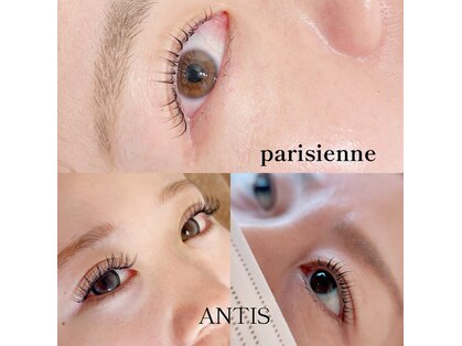 アンティス(ANTIS)の写真