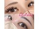ダリア(Dahlia)の写真