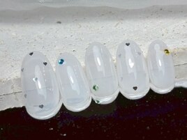 ワンカラー＋アート♪