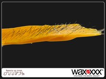 ブリリアント/お顔のワックス脱毛