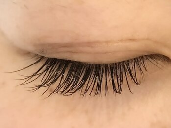 カラン 焼津店(CALIN)/フラットブラウン100本