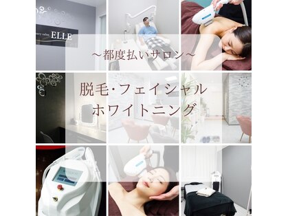 エル(ELLE)の写真