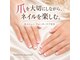マユネイル(mayunail)の写真