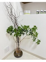 カルム(calme)/雲龍柳と馬酔木