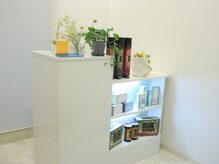 ルーチェ(LUCE)/WOTT×ヘッドスパ