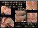 バルディーナ(BALDINA)の写真