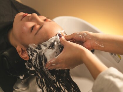 トウカ(touka)の写真