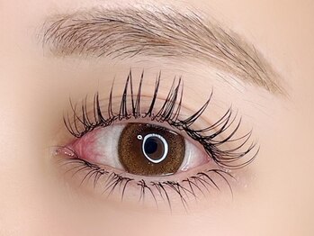 アヤラッシュ(AyaLash)/フラットラッシュ×下付け放題