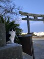 ラ ピラティス 姫路店(La pilates) 道端で猫を見つけると、撮ってしまいます!