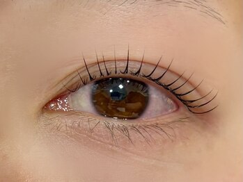 アルディ(hardi)/まつげパーマ