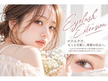 リノ(Lino)の写真