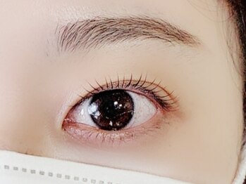 アリスタ(ARISTA)/ラッシュリフト