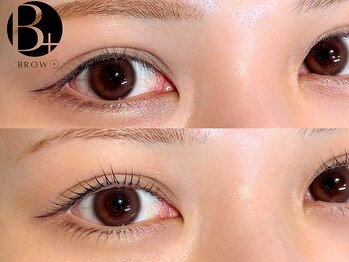 ブロウタス 新丸子店(BROW+)/まつげパーマ