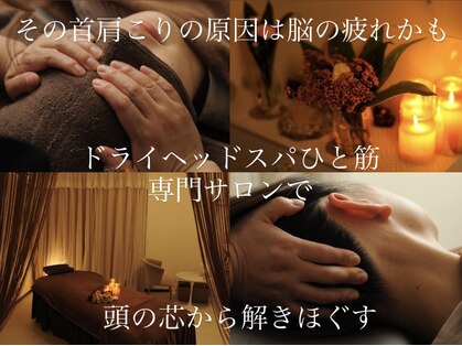 アカリ(Akari)の写真