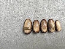 レアレアネイル(Lealeanail)/【パラジェル】マグネットネイル