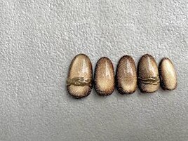 【パラジェル】マグネットネイル