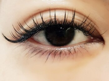 レミア 上大岡(REMIA)/フラットラッシュ120本