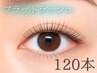 【人気No.1】上品ナチュラル*初回特典付きフラットラッシュ120本 ¥5500