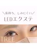 【オフあり】沁みないエクステLEDiLash フラットつけ放題(max180まで)