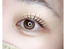 ララ 渋谷(LaLa)/まつげパーマ