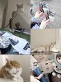 プレシャス(PRECIOUS) 趣味は推し活です♪3にゃんずと一緒に暮らしています^^