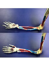 太陽整体室/手首から肘のバランスは…