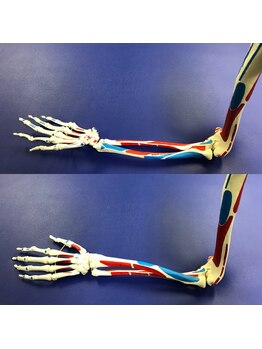 太陽整体室/手首から肘のバランスは…