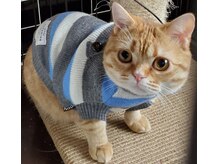 ほぐし処 楽/看板猫のさくら