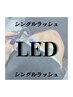 《低刺激×高持続》最新LEDまつえく[100本] 