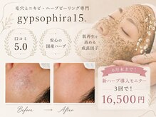ジプソフィラフィフティドット(gypsophira15.)